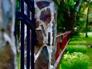Looking for Farm Lots for sale in Panama?