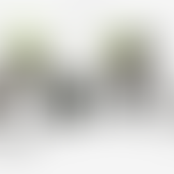 Parques Infantiles de Benito en Panama