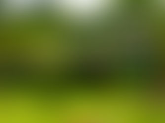 🌿 Panama: The New Benchmark for Eco Living and Mountain Lifestyle