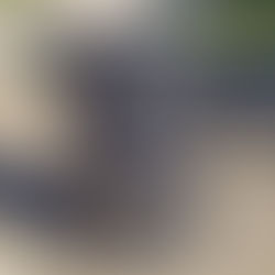 Importancia de seleccionar el mobiliario urbano adecuado para cada espacio