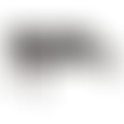 Banca Tradicional Modelo  Boston