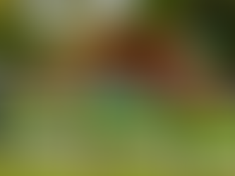 Duomo Escalador en Brisas Capital