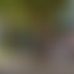 Bancas para uso exteriores