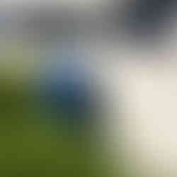 Basurero Modelo Berlin