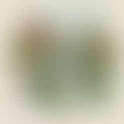 Diseño de parques urbanos