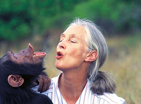 JaneGoodall.jpeg