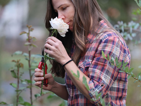 What Would the Garden Say?