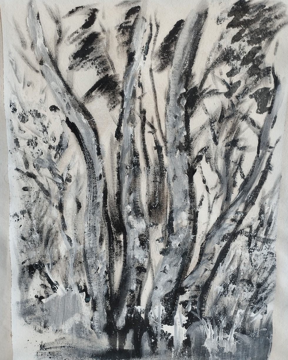 Birches in the morning, painting, 42x32cm, 2024