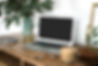 Interior of a cozy feminine home office with laptop mock-up, eucalyptus plant in vase, gla