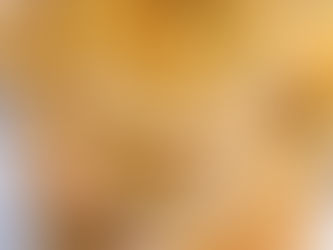 Citrons confits à l'huile