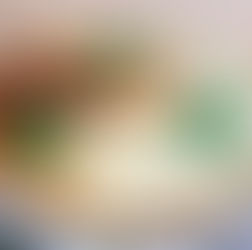 Cheesecake aux épinards et chèvre frais