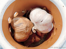 Bien conserver l'ail