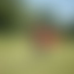 The Flag Football Code