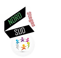 logo NordSud Stages.jpg