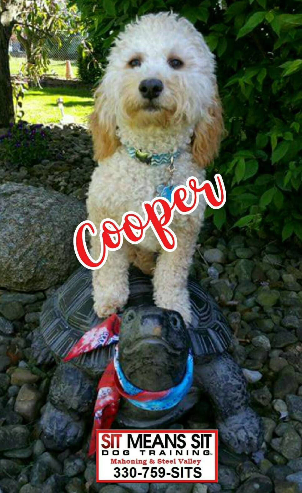 Cooper