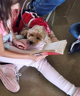 south range reading program
