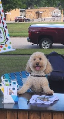 cooper car show