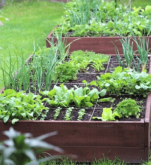 Snip 2024-09-24 16.14_edited.jpg