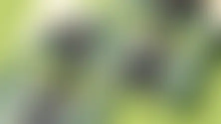 Refreshing Horsley Sports Club’s Brand and Digital Presence