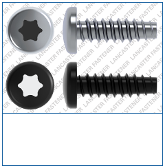 T-Drive Pan Plas-Fix 45 Screw Steel