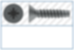 Cross Recess (Z) Countersunk Plas-Fix