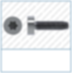 T-Drive Socket Cap DIN 7500 FORM E Si