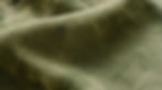 Ecos de la Naturaleza