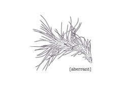 [ABERRANT]