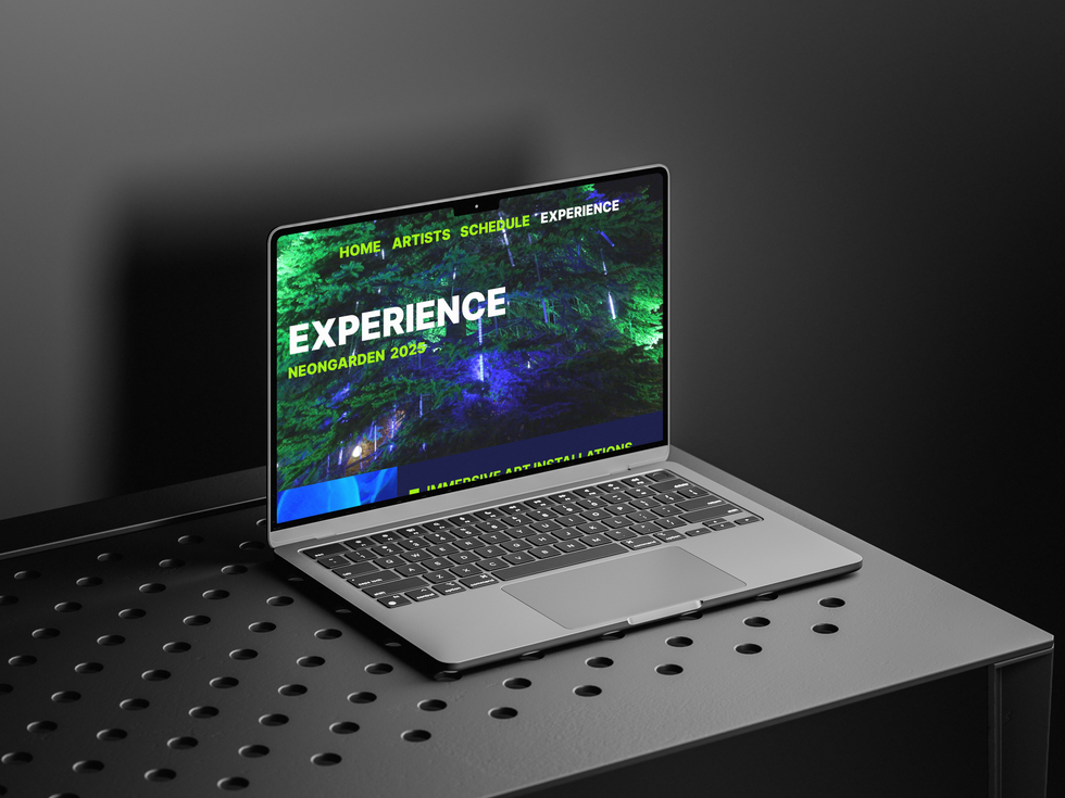 Desktop Mockup: Experience Page