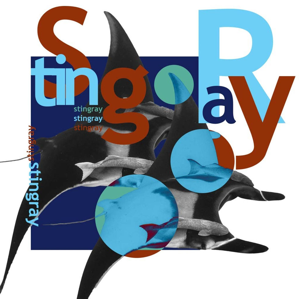 Stingray: Mixed Media Illustration