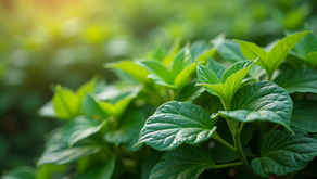 Exploring the Ancient Wisdom of Ayurveda: Understanding the Suppression of Natural Urges