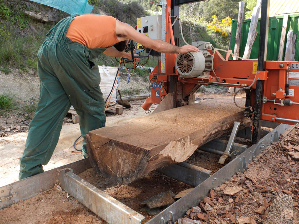 Quartersawn oak at the sawmill