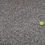 Thumbnail: 3/8in Clear Limestone