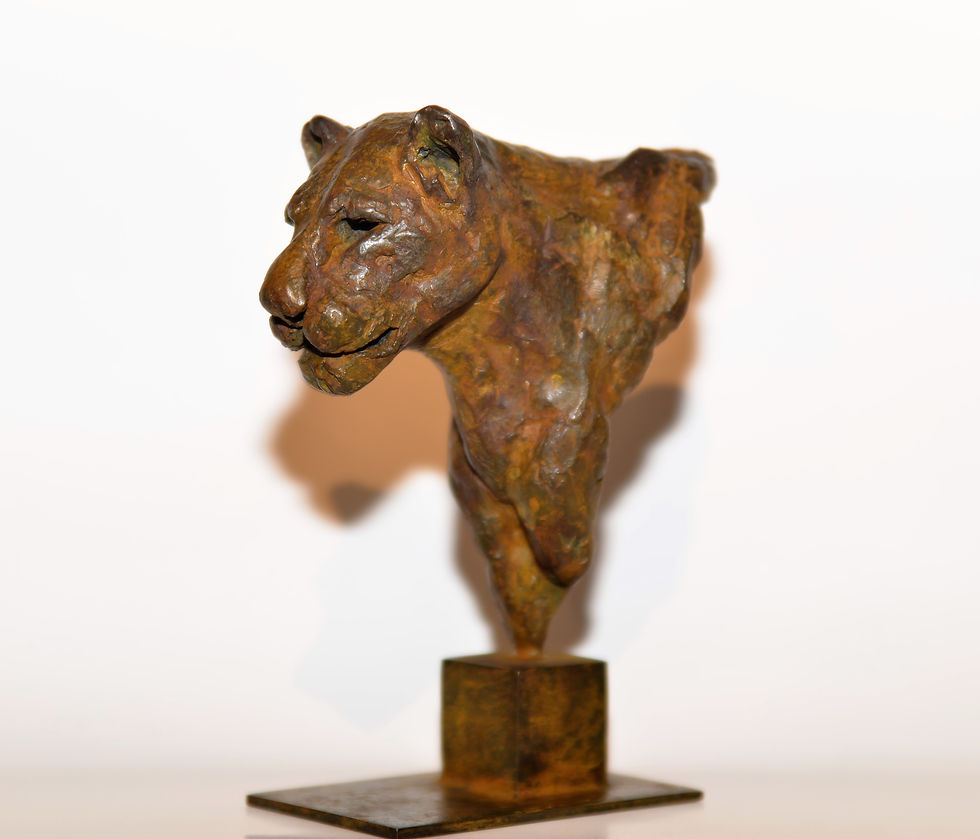 Thumbnail: "Lion's head" by I. Carabantes