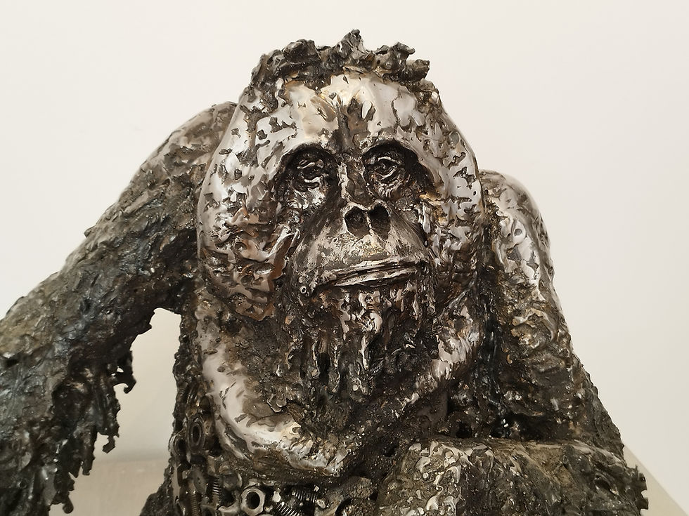 Thumbnail: "Orang-outan" par Jean-No