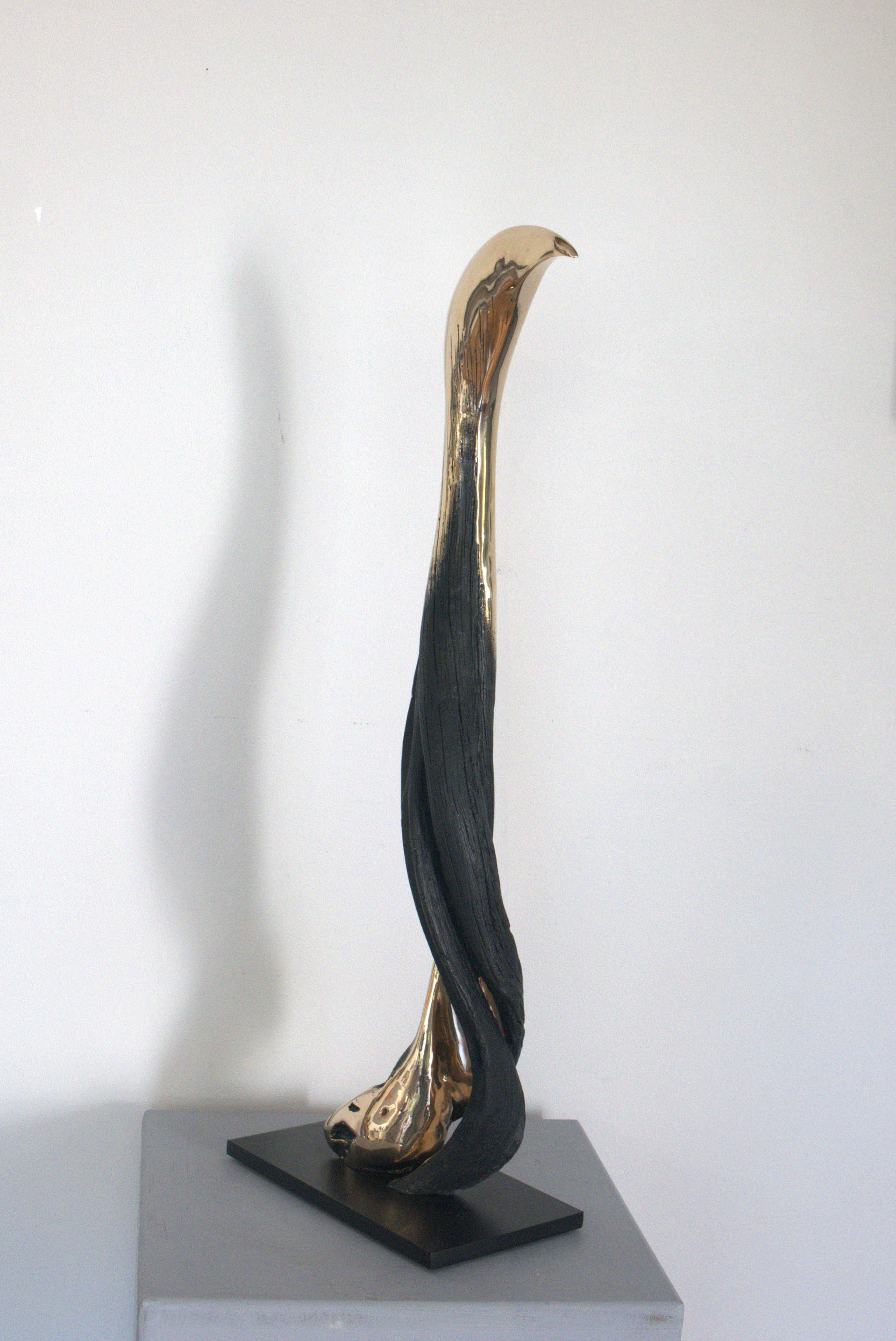 "Flamant" par Benoit FLEURY