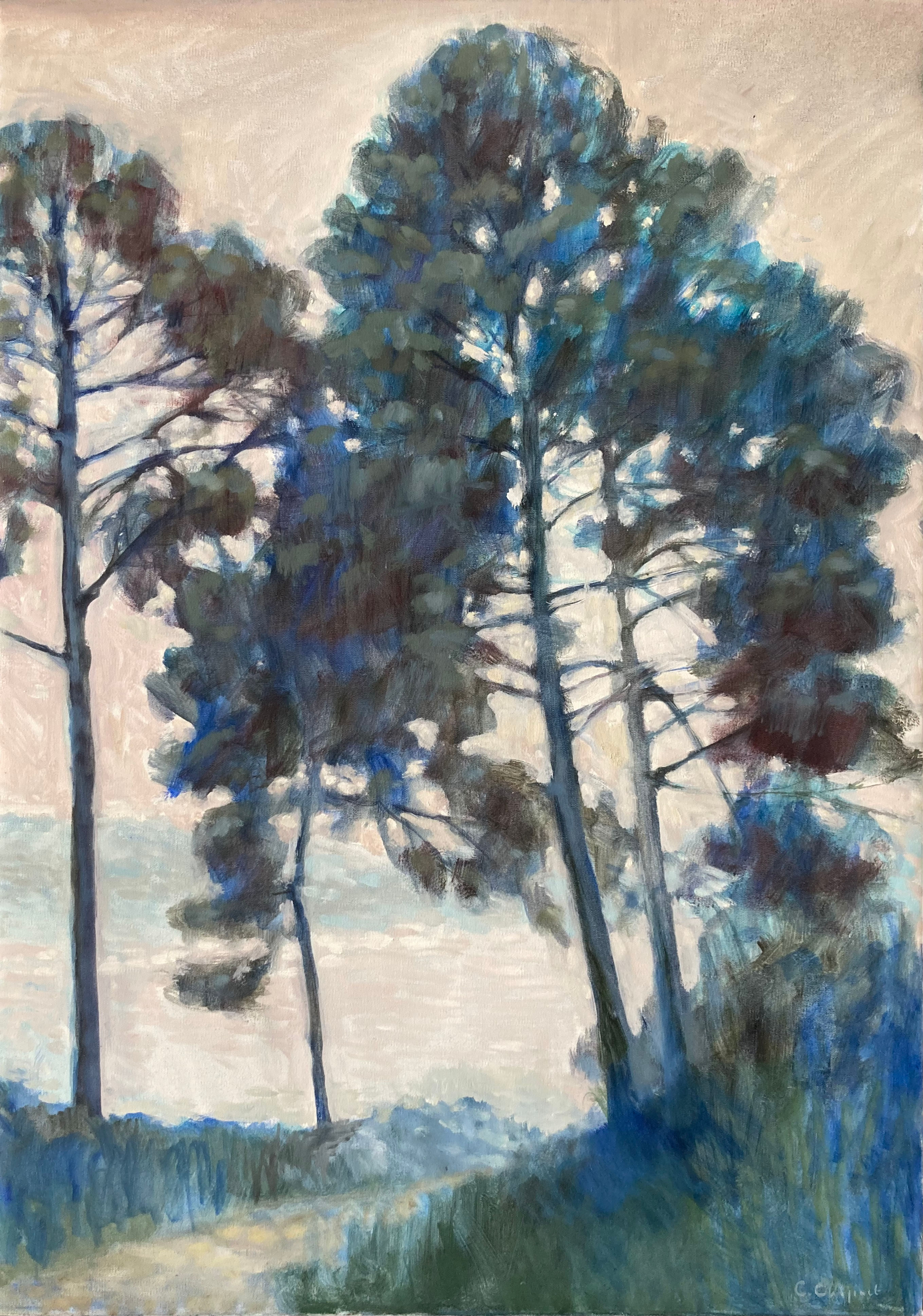 "Les grands pins le soir" par Catherine Chopinet