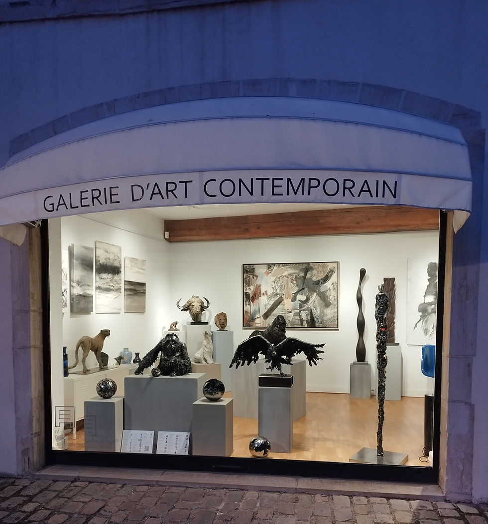 Vitrine de la galerie ARS ESSENTIA à BEaune