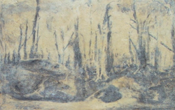 Voz Desierto