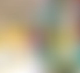 七夕かざりとひと涼みスポット