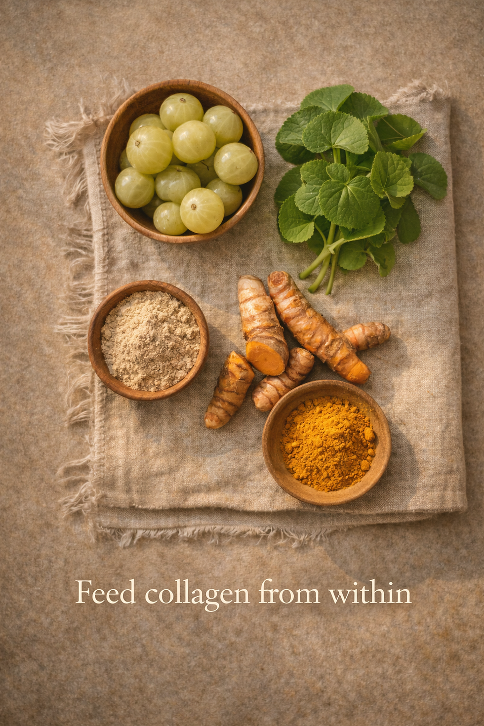 Ayurvedic herbs for natural collagen support including amalaki and turmeric