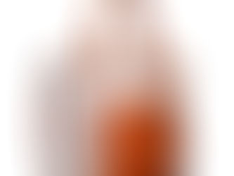 Tipo de bolso acorde al evento