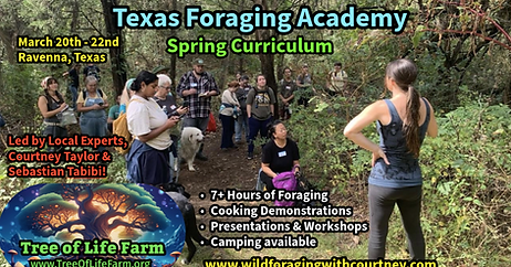 Screen Shot 2025-10-27 at 1.41.01 PM.png