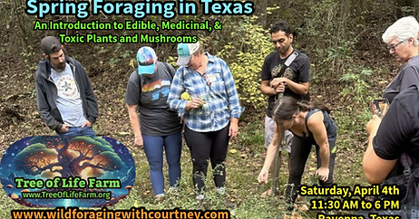 Screen Shot 2025-11-04 at 8.38.49 PM.png