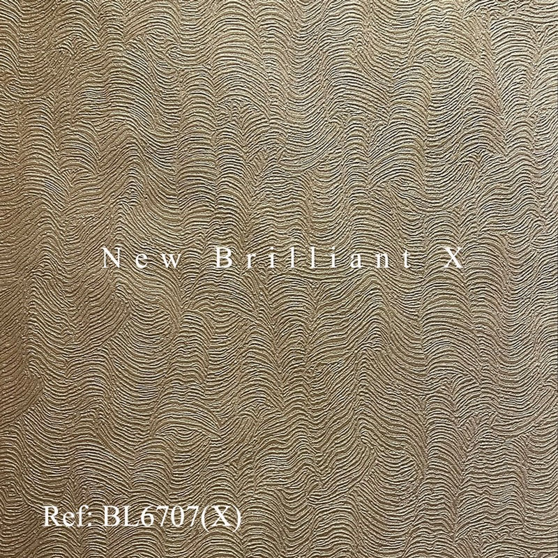bl6707.