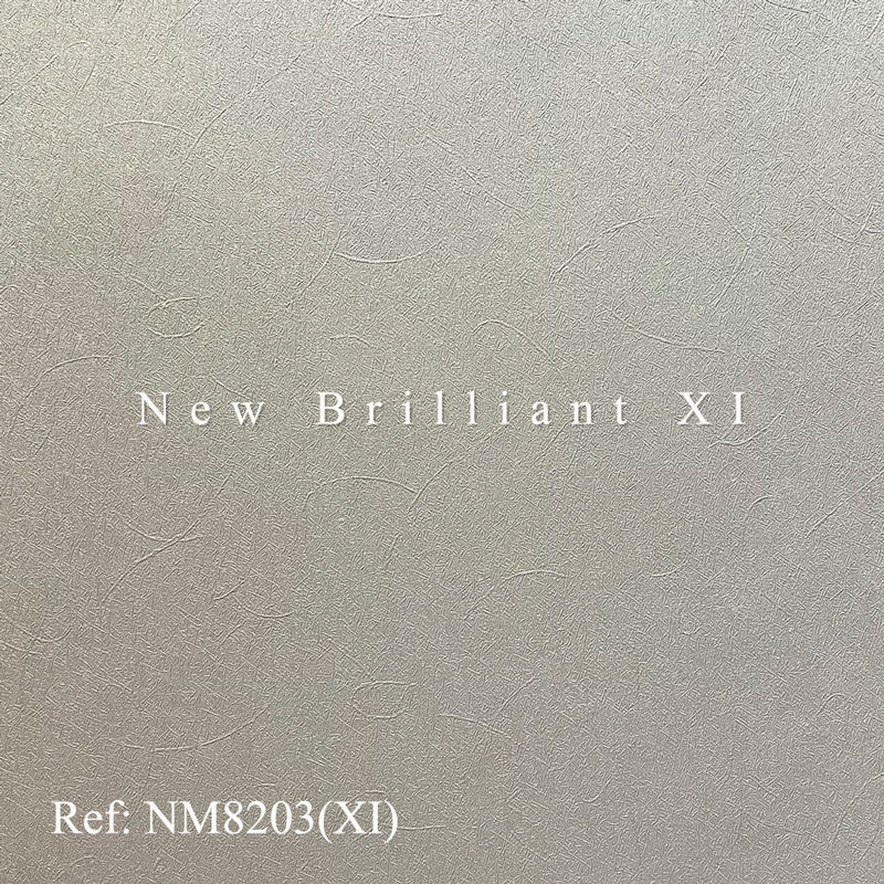 NM8203