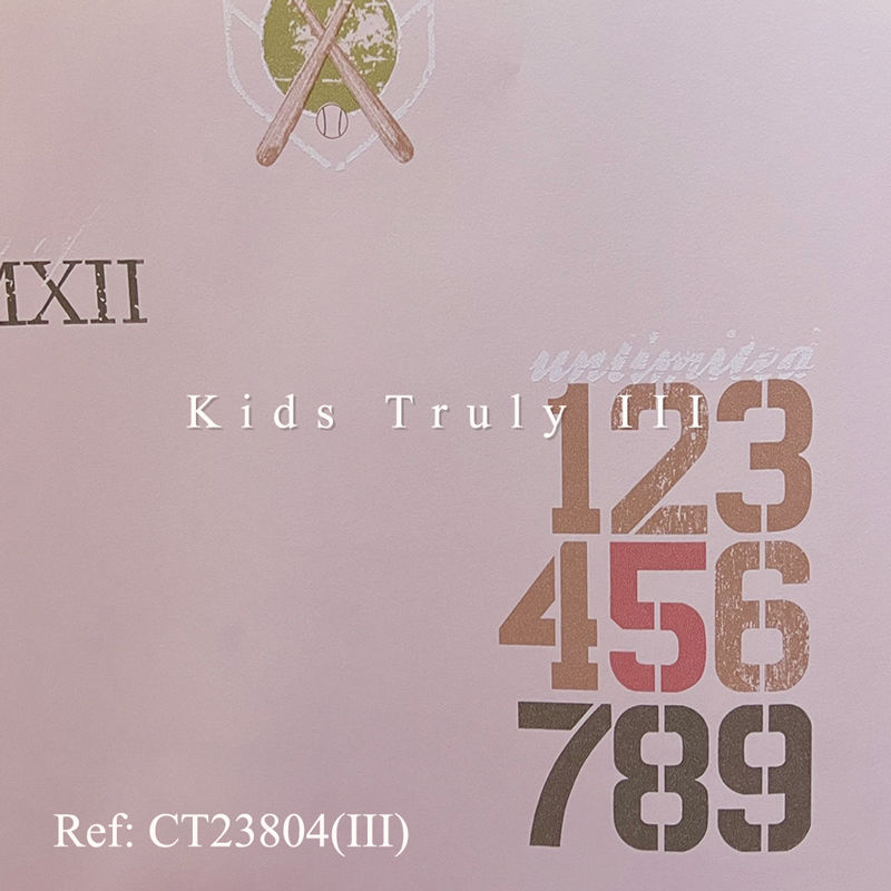ct23804