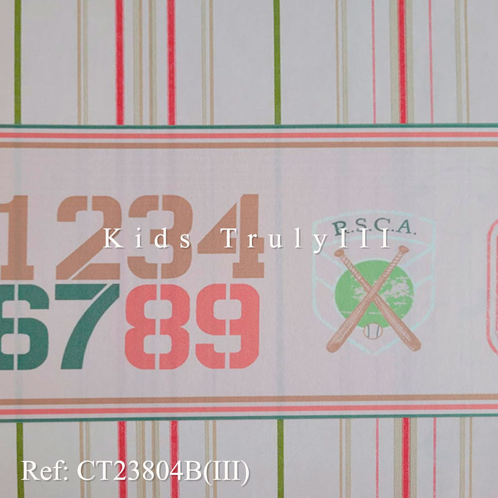 ct23804b