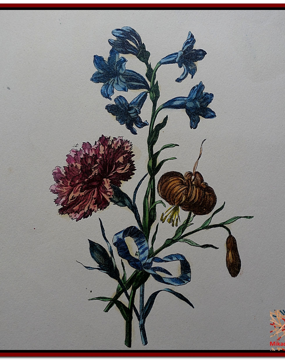 Fleurs au Ruban Louis XVI coloriées à la main très fraiches