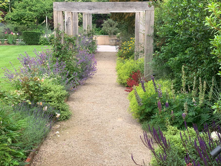 Beyond the Blooms: Using Garden Colour Schemes to Craft Your Perfect Mood